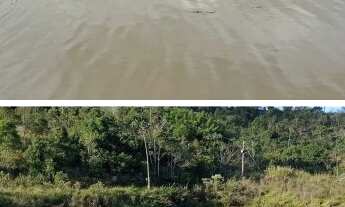 Imagem 3: Vendo granja 506 M