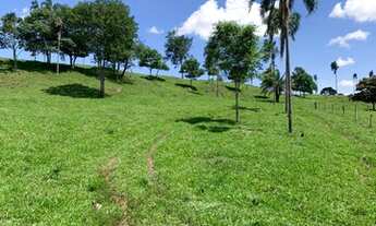 Imagem 5: Oportunidade! Vende-se uma bela fazenda de 18 Alqueires