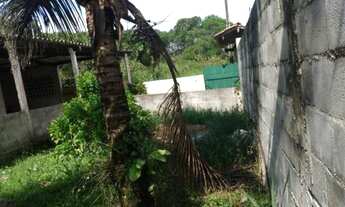 Imagem 6: Casa com churrasqueira, excelente quintal, escritura