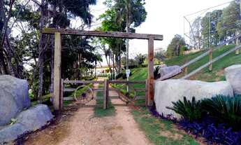 Imagem 2: Lago dos Passaros