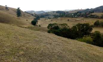 Imagem 6: Fazenda para criação de gado em minas!