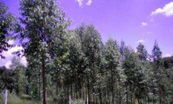 Imagem 5: TERRENO RESIDENCIAL em Ibiúna - SP, Rod. Bunjiro Nakao