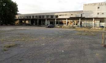 Imagem 5: Lote/Terreno para aluguel e venda tem 6150 metros quadrados em Vila Guilherme - São Paulo