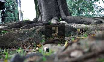 Imagem 5: Lindo lote no Alpha 2