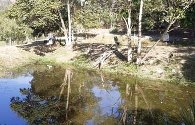 Imagem 2: Vende-se Chácara