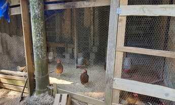 Imagem 3: Vendo linda Chácara em Santa Isabel - Divisa com Arujá