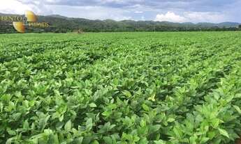 Imagem: Fazenda em Paranatinga à venda, 104000000