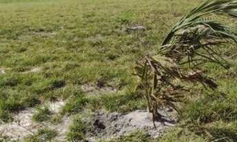 Imagem 3: Salinas , 03 terrenos no VALLE DO SALL, excelente investimento