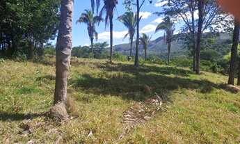 Imagem 10: FAZENDA 5 ALQUEIRES TERRA DE CULTURA COCALZINHO GOIAS