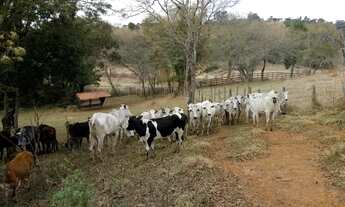 Imagem 7: Fazenda para criação de gado em minas!