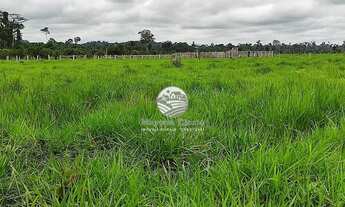 Imagem: Itapuã do Oeste - Sítio - 41 Alqueires