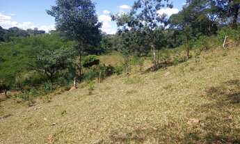 Imagem 13: FAZENDA 5 ALQUEIRES TERRA DE CULTURA COCALZINHO GOIAS