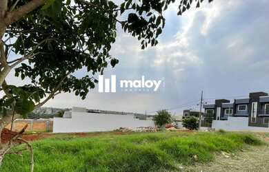 Imagem 3: Terreno para Venda em Cascavel, Morumbi