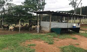 Imagem 2: Sítio Morungaba/SP/BR - Fortun