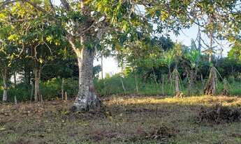 Imagem 4: Vendo propriedade em Santa Luzia do Itanhi