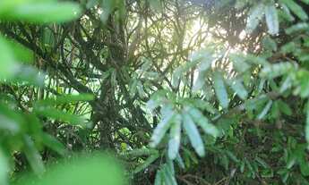 Imagem 2: Terreno em condomínio Albuquerque, 700m² plano