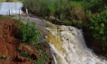 Imagem: Fazenda 40 Alqueires, Conceição do Araguaia
