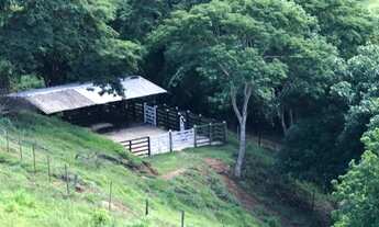 Imagem 2: Sítio em Antônio Dias. Cód. S004. Ótima topografia e várias nascentes. Valor 1.700.000 mil