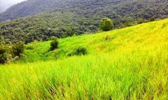 Imagem 6: Gov. Celso Ramos Fazenda/Sítio/Chácara para venda possui 70000 metros quadrados