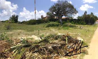 Imagem 2: 2 lotes - 450m2 cada - 900m2 no total ou 30x30 - sombra - cercado