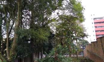 Imagem 7: CAXIAS DO SUL - Terreno Padrão - Centro