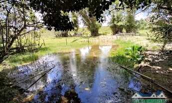 Imagem 2: Sitio 4 hectares em águas claras com vista de tirar o fôlego, casa, galpão e açude, arbori