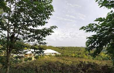 Imagem 7: GARIBALDI - Chácara - Vale Dos Vinhedos