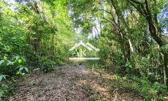 Imagem 3: Área de terras com vista em Morro Reuter na Serra Gaúcha