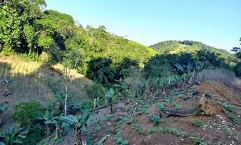 Imagem 3: Sítio 6 alqueires ( Willian Ricardo