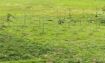 Imagem 4: Terreno à venda, 1000 m² por R$ 205.000,00 - Condomínio Village da Serra - Tremembé/SP