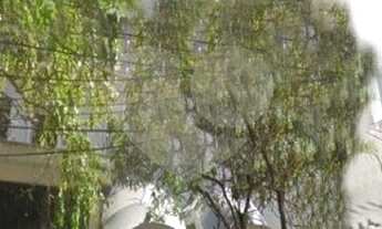 Imagem 4: São Paulo - Apartamento Padrão - VILA NOVA CONCEIÇÃO