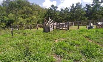 Imagem 6: Fazenda no município de recursolandia