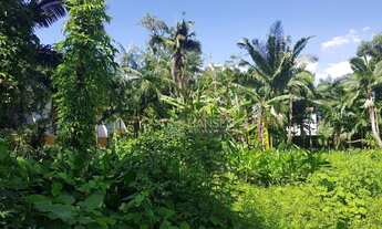 Imagem 6: Terreno à venda, 3464 m² por R$ 2.100.000,00 - Centro (Pirabeiraba) - Joinville/SC