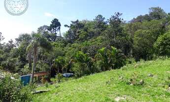 Imagem 7: FLORIANóPOLIS - Padrão - Tapera da Base