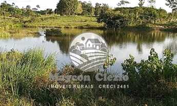 Imagem 5: Ariquemes - Sítio - 24 alqueires Ariquemes
