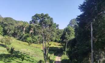 Imagem 4: 35 mil mts quadrados com lagos 550 mil reais