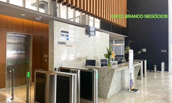 Imagem: PINHEIROS NOBRE !