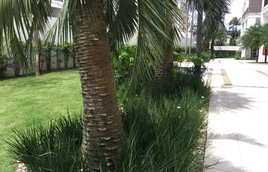 Imagem 3: Cobertura com vista pro mar 4 vagas de garagens