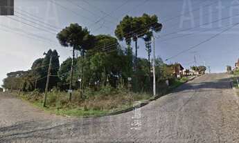 Imagem: Caxias Do Sul - Terreno Padrão - Cidade