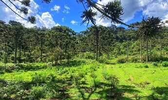 Imagem 3: Imóvel Rural/Terreno Rural