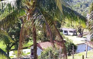 Imagem 3: Lindo sitiio em Papucaia / Cachoeira de Macacu com área total de 53.000m2