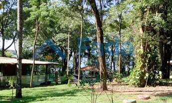 Imagem 6: PORTO RICO - Chácara - Chácara em Porto Rico