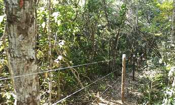 Imagem 5: Chácara 6.700 m2 Córrego Muita Mata Próximo Salto Corumbá de Goiás