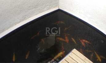 Imagem 3: Porto Alegre - Casa Padrão - Três Figueiras