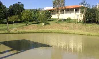 Imagem: Excelente Sítio para venda possui 20.000