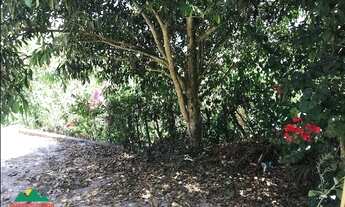 Imagem 6: TERRENO A 300 METROS DO CENTRO