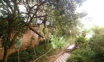 Imagem 5: Porto Alegre - Terreno Padrão - Nonoai