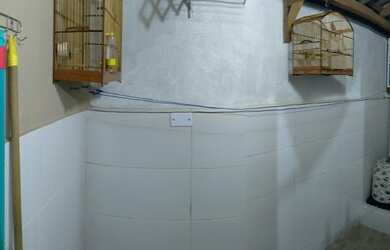 Imagem 10: São Gonçalo - Casa Padrão - Pacheco