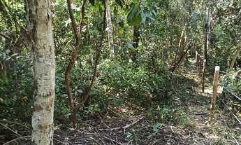 Imagem 6: Chácara 6.700 m2 Córrego Muita Mata Próximo Salto Corumbá de Goiás