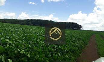 Imagem 2: Fazenda à venda, 943800 m² - Centro - Francisco Beltrão/PR